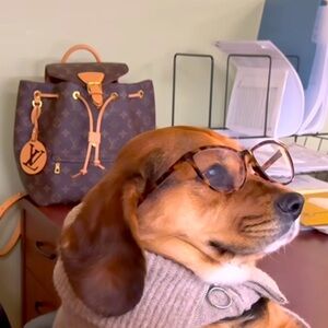 Meet your Posher, Sophia